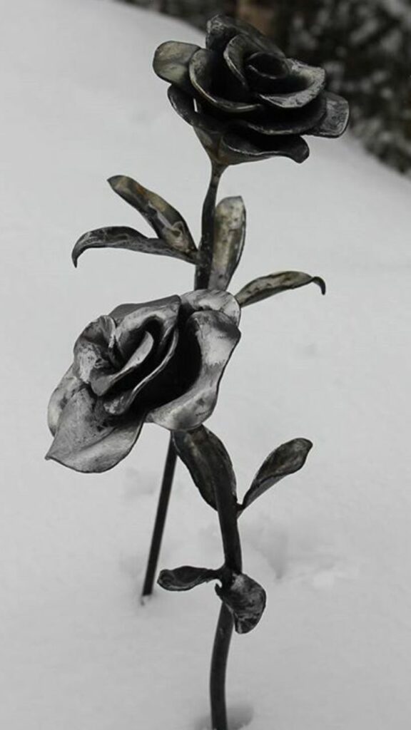 En bild på en grå ros som är smid i stål.